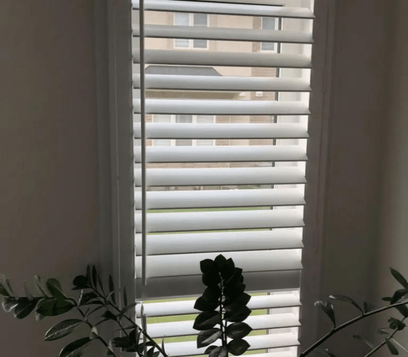 Vinyl Shutters